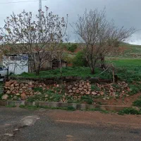 فروش باغ ویلا و سالن‌های بهداشتی هم فال و هم تماشا