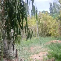 باغ|خدمات باغبانی و درختکاری|نهاوند, |دیوار