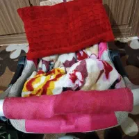 گهواره|تخت و صندلی بچه|شوشتر, |دیوار