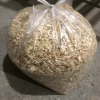 پوشال خرگوش