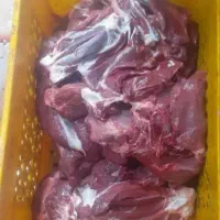 گوشت تازه وگرم گوساله