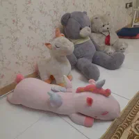 همه سالم و تمیز