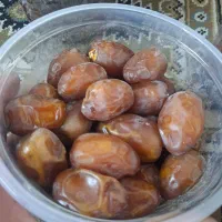 خرمای طرود