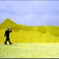 مدیرفنی و تاسیساتی