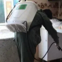 سمپاشی.وموریانه زدایی