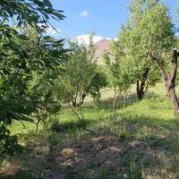 فروش زمین مسکونی روستای بادام چالوق
