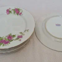 دیس و بشقاب گل سرخ نو ژاپنی (توضیحات)