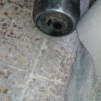 اگزوز