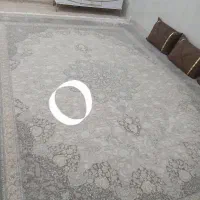 شادگان|فرش|شادگان, |دیوار