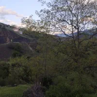فروش زمین رامسر دالخانی گرسماسر