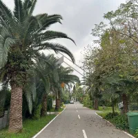 شهرک-و-ببین-خرید-کن-فروش-محدود