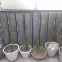 دریچه محافظ روشنایی