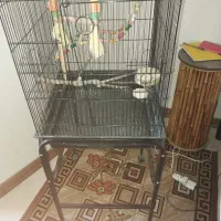 فروش قفس پرنده کاسکو و عروس هلندی