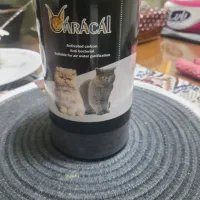خاک گربه ذ غال اکتیو