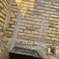 قفس پرنده