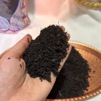 چای سرگل بهاره