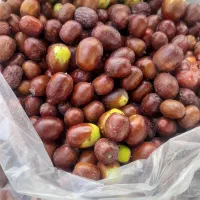 عناب تازه درشت