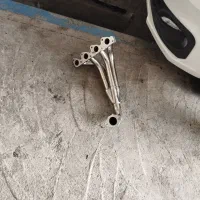 هدرز ساینا