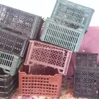 سبد میوه
