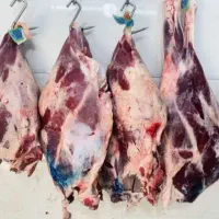گوشت درجه یک اقساط