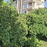 زمین 400 متر سند دار جهت مشارکت ساخت اپارتمان
