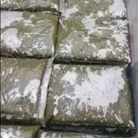 سبزی قرمه، آش، شوید، کوکو