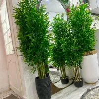 انواع درختچه مصنوعی.   مونتاژ در سایزهای مختلف