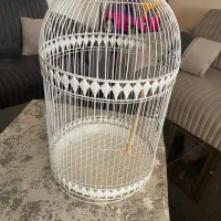 قفس پرنده با چوبش