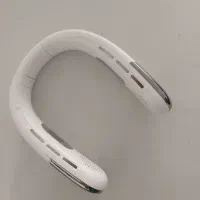 فن گردنی