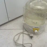 بخار پز