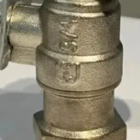 شیر برنجی