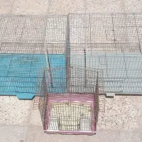 قفس پرنده