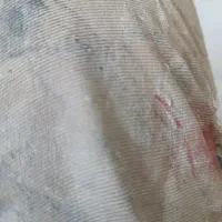 استاد نقاش حرفه ی
