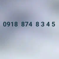 0918874-8-3-4-5