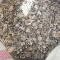 کود کبوتر