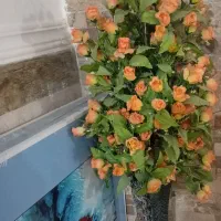 گل بزرگ