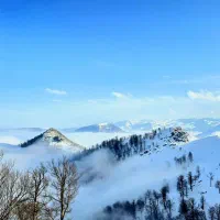 برای مهمانان گیلان،تورهای گیلانگردی برگزار میکنیم.