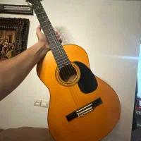 گیتار آریا ak20