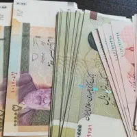 سرمایه گذار