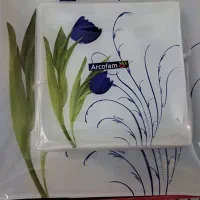 ظروف نو