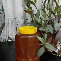 عسل طبیعی  با موم و بغیر موم  زیر قیمت