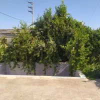 مغازه تجاری