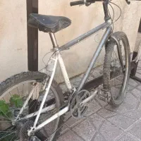 دوچرخه و سه چرخه