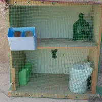 قفس پرنده