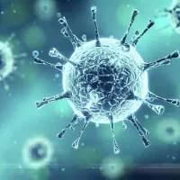 د رما ن HPV