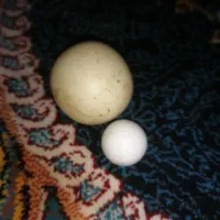 الماس اسیاب سختی 10