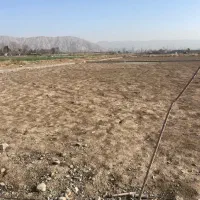 ۹۰۰۰ متر زمین مجوز رسمی ساخت گاوداری گوشتی۳۷۵ راس