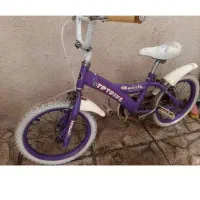 دوچرخه۱۶ یاسی رنگ