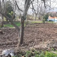 فروش زمین مسکونی
