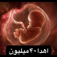 اهدا تخمک(۴۰ میلیون)و ۲ میلیون پاداش رحم اجاره ای
